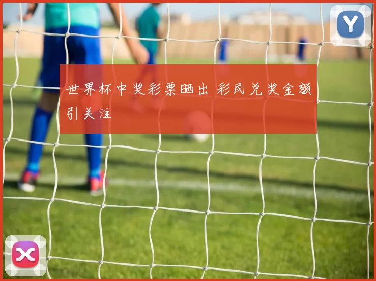 世界杯中奖彩票晒出 彩民兑奖金额引关注