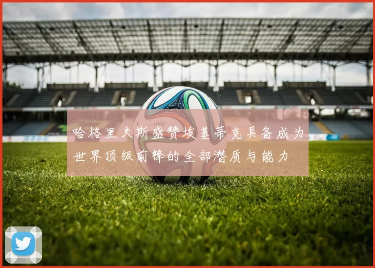 哈格里夫斯盛赞埃基蒂克具备成为世界顶级前锋的全部潜质与能力