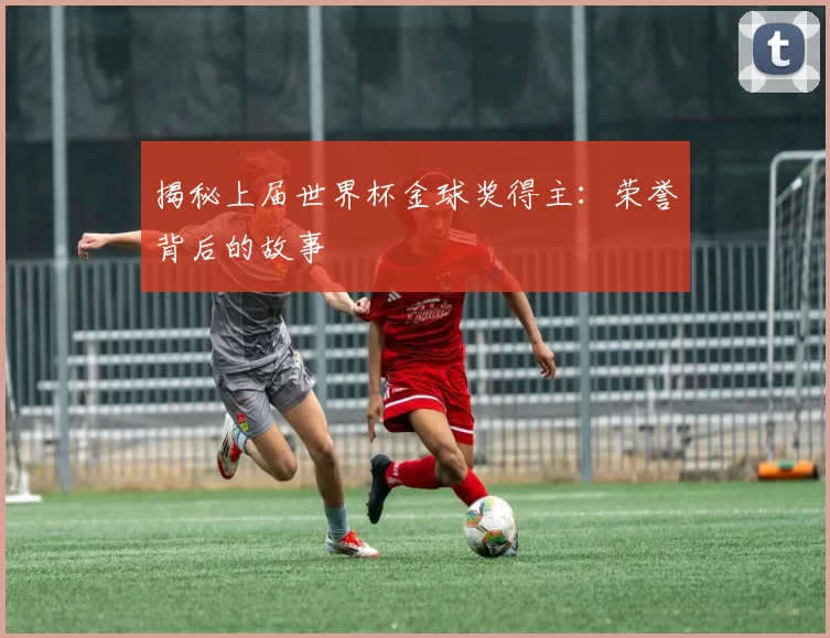 揭秘上届世界杯金球奖得主：荣誉背后的故事