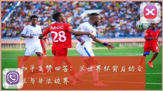 知乎高赞回答:买世界杯背后的合法与非法边界