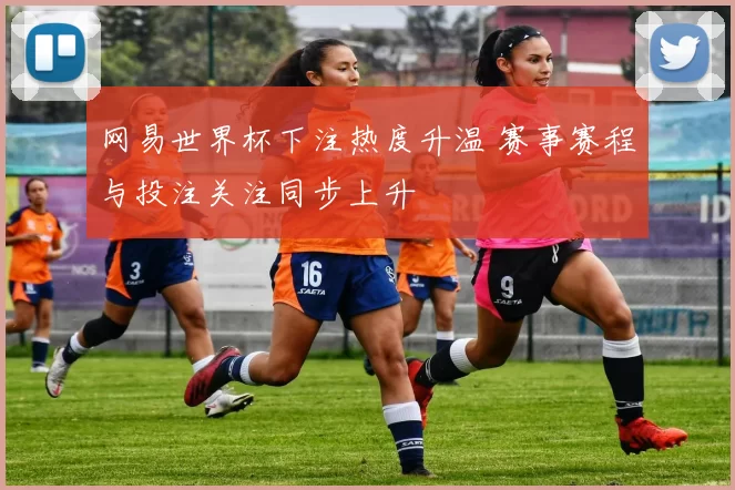 网易世界杯下注热度升温 赛事赛程与投注关注同步上升