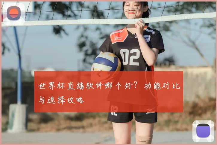 世界杯直播软件哪个好?功能对比与选择攻略
