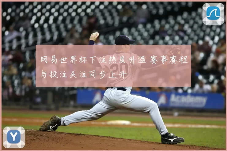网易世界杯下注热度升温 赛事赛程与投注关注同步上升