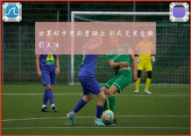 世界杯中奖彩票晒出 彩民兑奖金额引关注